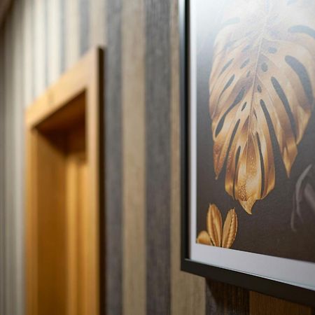 Apartments Alkantara Chrzanów Dış mekan fotoğraf